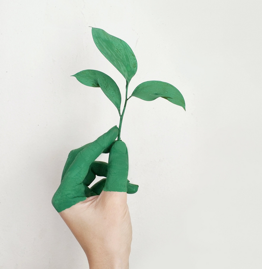 Sustainable Oral Care: The Advantages of Natural Recycled Floss